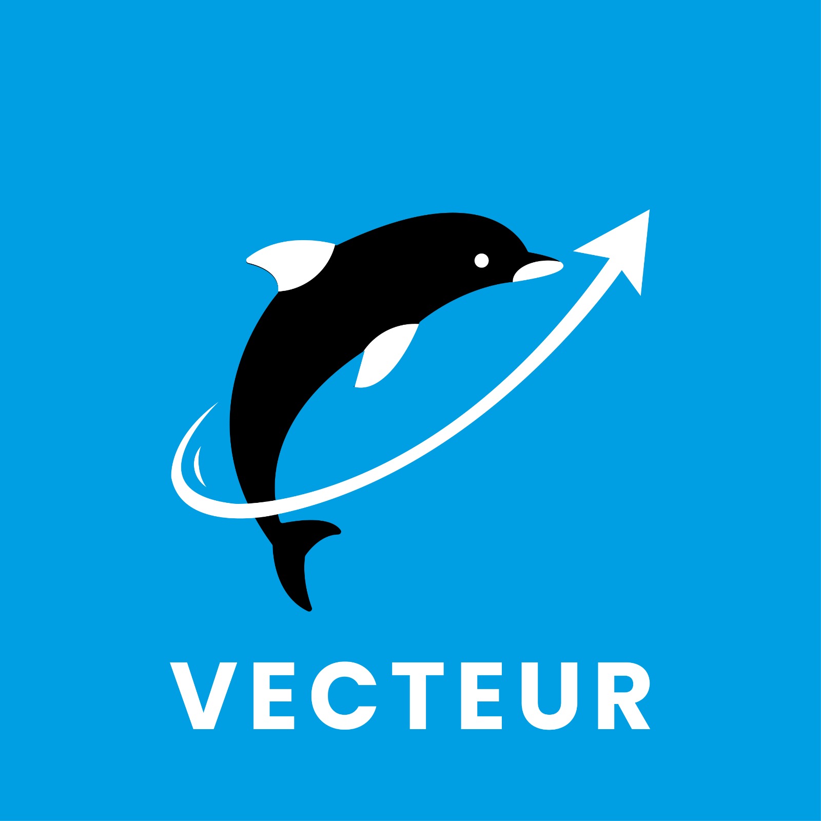VECTEUR